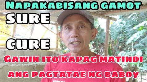 lunas sa pagtatae ng baboy|Gawin ito pag matindi ang pagtatae ng baboy .